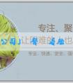 「藉卵試管公司」頭臀長看胎兒性別可靠嗎？科學方法怎麼看性別？